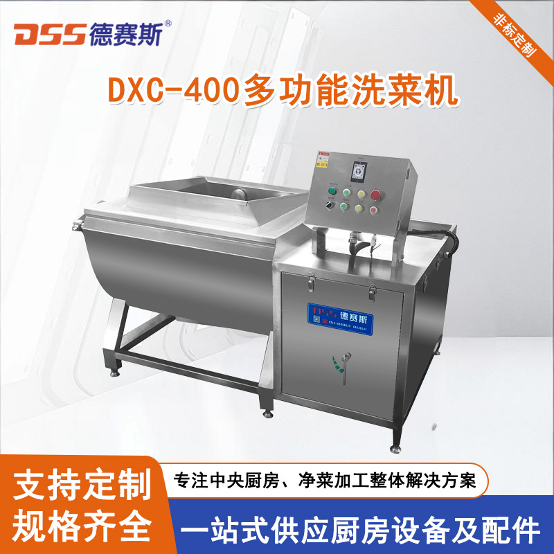 厂家供应DXC-400洗菜机批发酒店洗菜机蔬菜