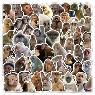 50����ҳ���N�����������b��ռ{��diy���恆�R�d��ˮ �S�����l