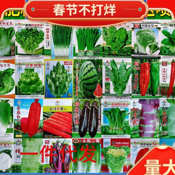 一件代发蔬菜种子四季播种阳台农家庭院盆栽生菜菠菜韭菜香菜草莓