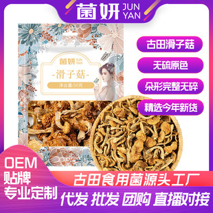 �����l���l�����ӹ���؛����ĢС�u��Ģ��С�SĢĢ���Ҝ����ʳ��