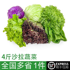野菜サラダコンビネーション 2kg フレッシュミックス野菜とフルーツサラダ 生食材 フィットネス軽食セット レタスサラダ