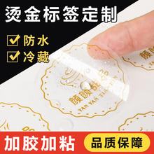 �C��pvc�˺������z�����A��logo����N�����S�aӡˢ͸���N������