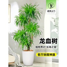 ��Ѫ��͏d�Gֲ��լ���Ͷ��^��횘������҃ȴ�̖�辰�����F��ֲ��