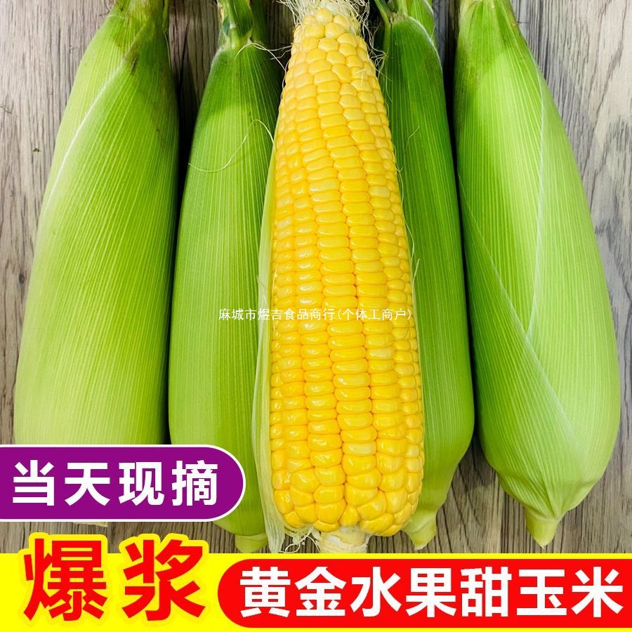 新鲜玉米牛奶现摘水果玉米斤生吃厂家甜一件批发2斤10玉米棒爆浆