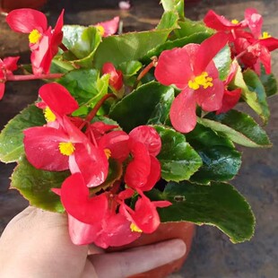 �ļ����������Ļ������҃�ͥԺ�ļ��_���ﺣ�Ĳ�������ذ�