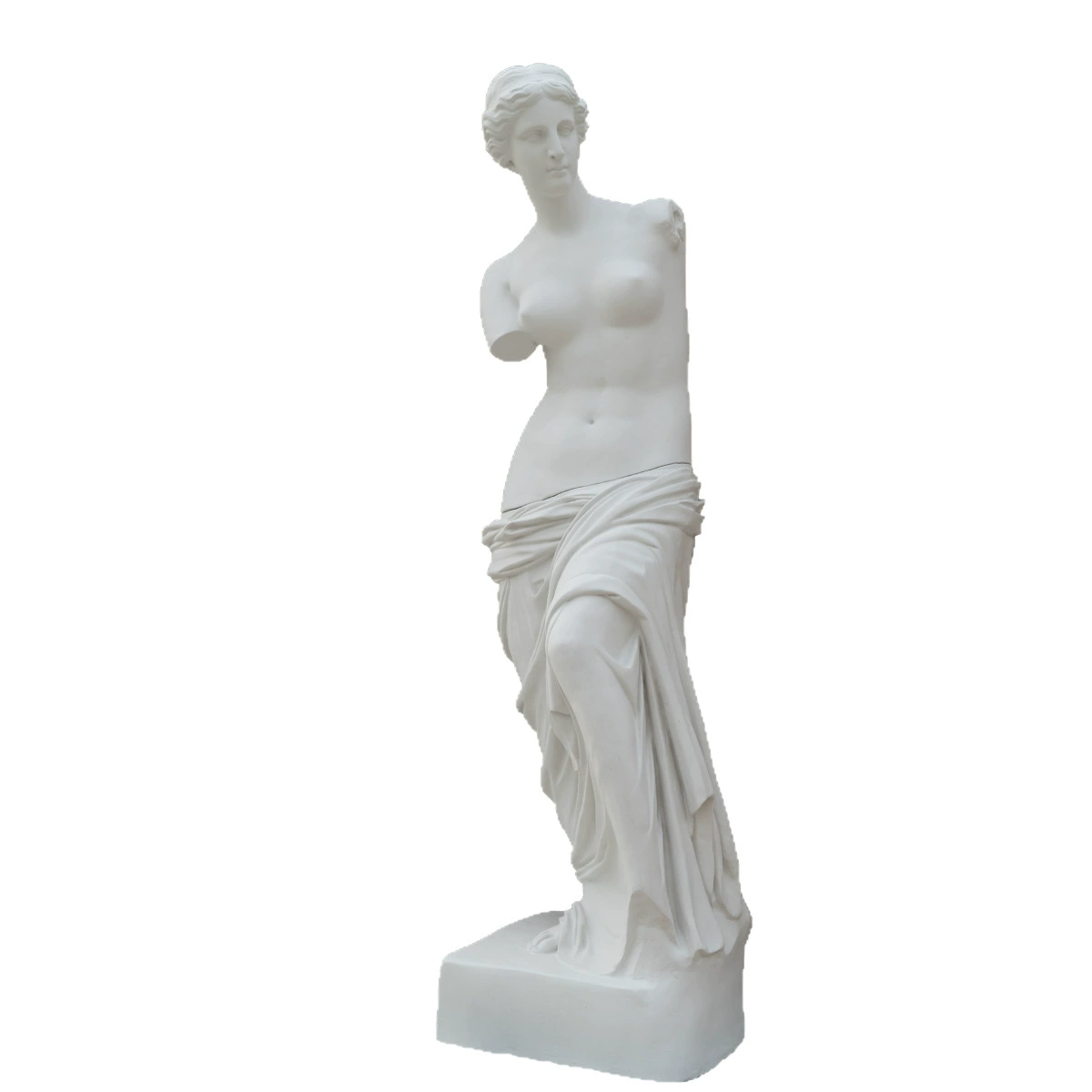 Учебные пособия из plaster, оптовая продажа, 1.8 метра