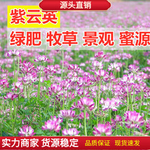 ӢNӹ@Gʼtļ߮aBԴֲӢN