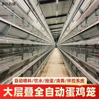 大层叠式蛋鸡笼全自动化厂家 立式大层叠3层4层热镀锌蛋鸡笼定制