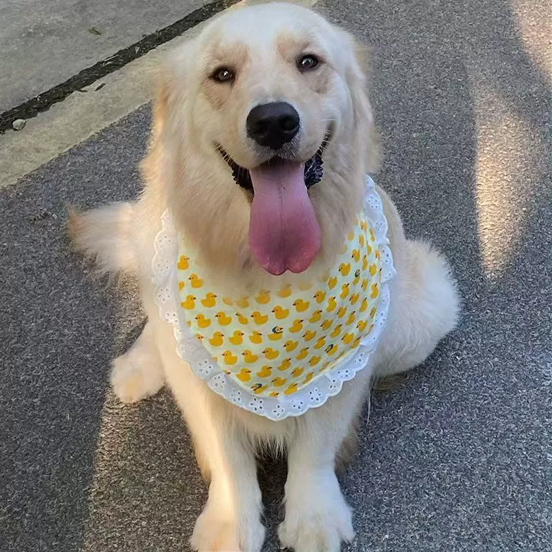 Малый, крупный и крупный собачий нагрудник Собака слюни шарф самоед милый золотистый аляскинский нагрудник завод прямых продаж