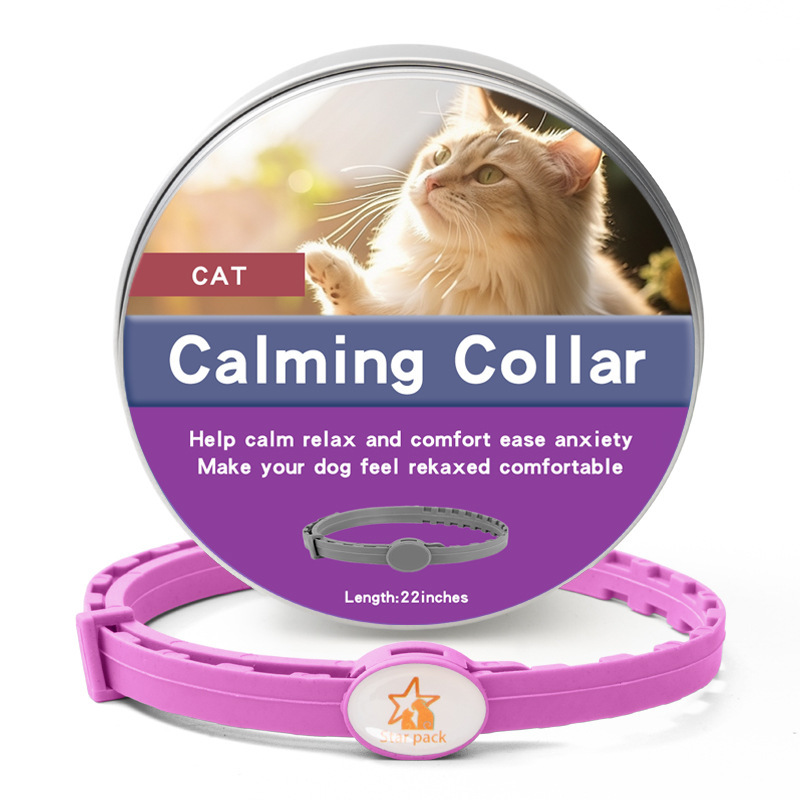 맞춤형 고양이 상자 보라색 56CM