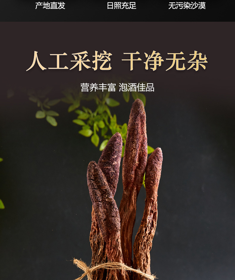 Dried Cynomorium Songaricum Whole Roots Suo Yang 500g Warming Herbal Tonic for Tea and Soup key features