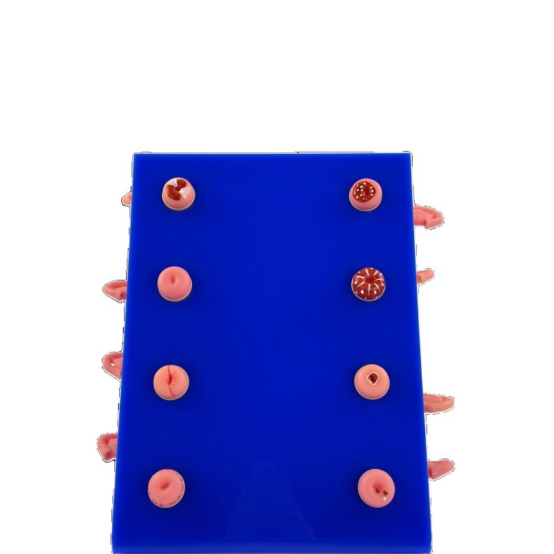 ��ѧ���� ���ƿƽ̾� ҽѧ�����ӹ�ģ�� 8�����ֲ����ӹ�����ģ��