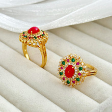 �¿���u�й��L��ָ�p�ݸ߼��Џ͹�育�䆸��F��ָ�h�_��������l