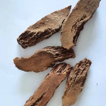 【同稳中药材】锁阳 生锁阳  锁阳统片  干货 产地 甘肃省