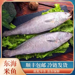 ��ɽ�|�����~�r��������r�|�~���~�����r��ˮ�a���r��S���]