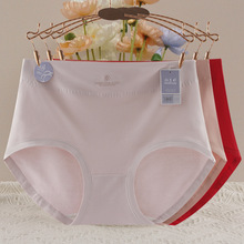 2025�¿��aŮʿ��ѝ�������H�w͸��10A�����יn�����������ѝ