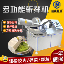 全自动多功能丸子肉馅果蔬斩拌机 葱姜蒜末鸡肉丸子切碎搅拌机