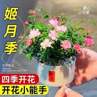 �������ļ��m�����㳬΢�ͼ��¼�̦�\������՚��k������Gֲ����