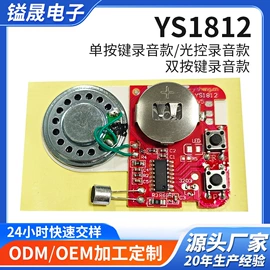 玩具配件;集成电路;电子模块