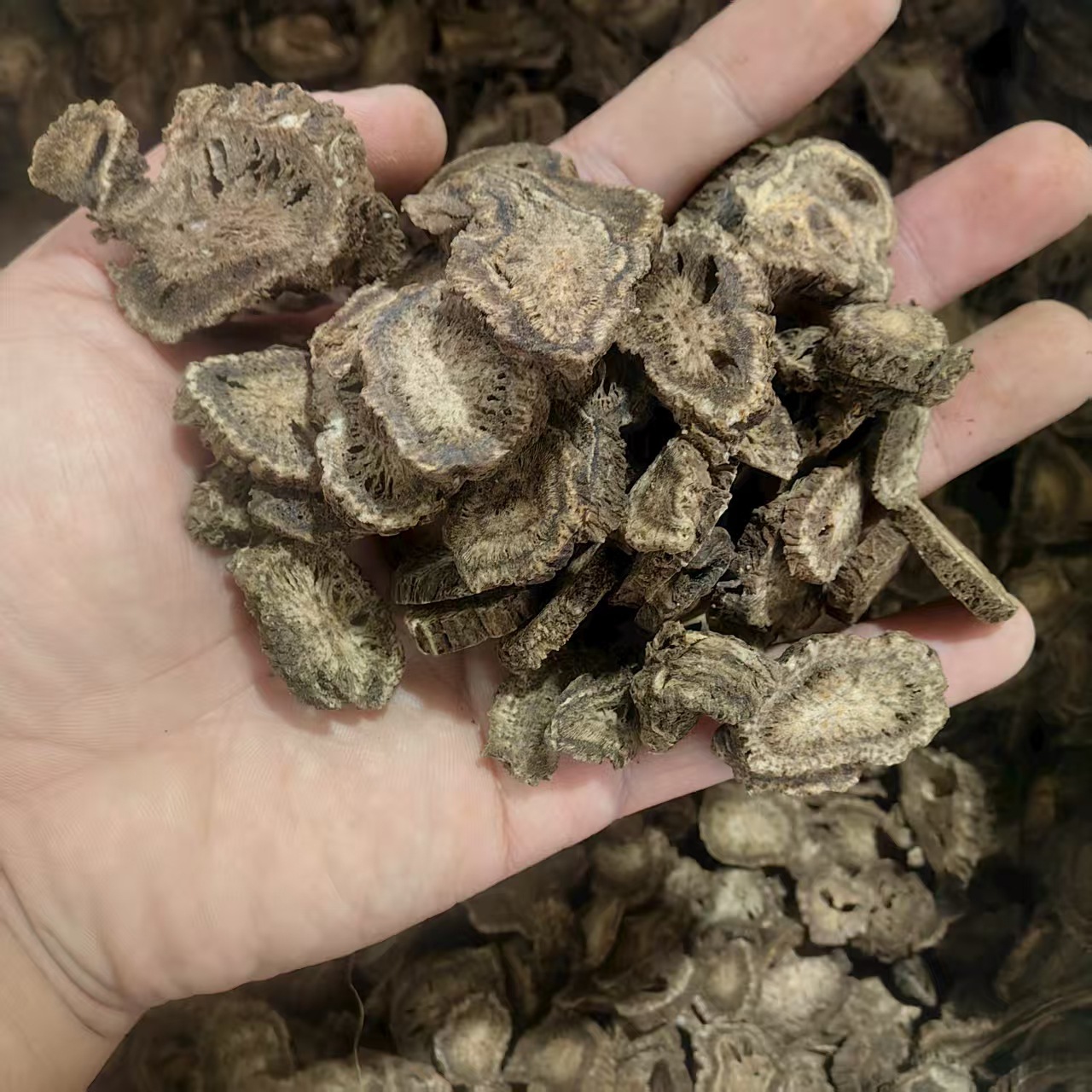 Costus Root Powder Mu Xiang 500g Fine Ground Herbal Powder for Decoctions and Culinary Blends key features