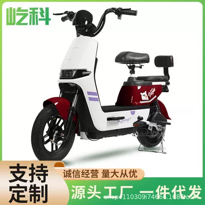 Foreign Trade Special Electric Vehicle, Elektrikli motosikletlər