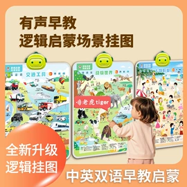 学习/早教机;玩具挂图;有声挂图