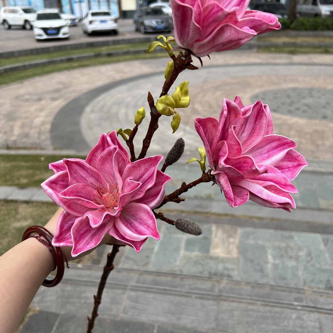 3-head feel Spring Magnolia Rose Rojo