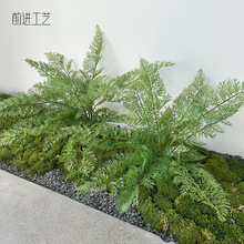 ɭϵ����ާ�ֲ�� ����ާ�~���� �پGֲ�쾰�b���ĸ߼��в�˹��