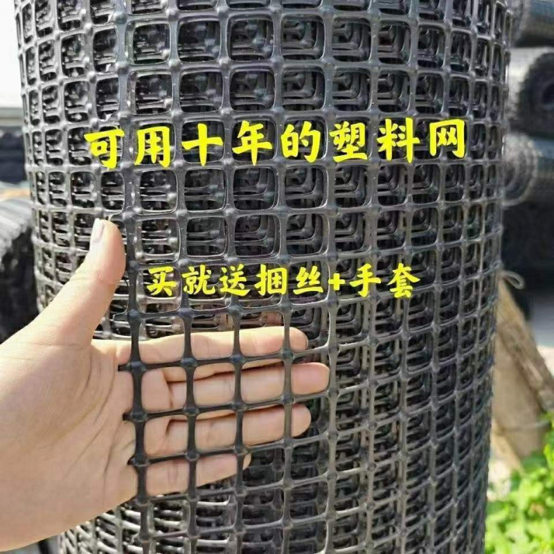 柵ネット、保護隔離ネット、トウモロコシネット、鶏・アヒル飼育用プラスチック飼育ネット、柵ネット、果樹園囲い保護ネット|undefined