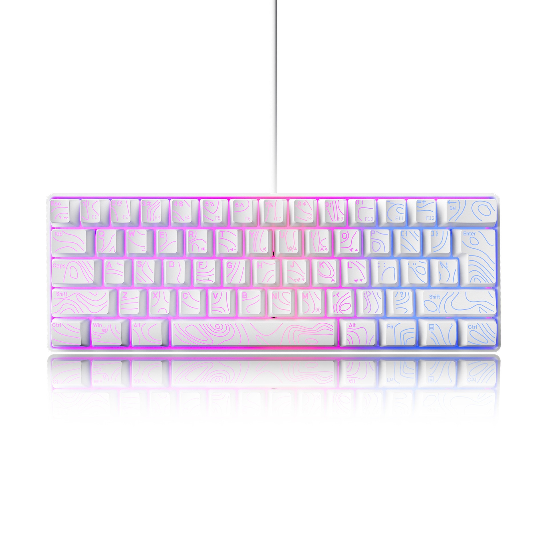 contorno blanco