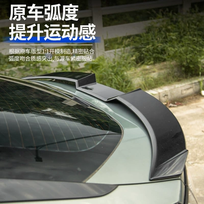Fixed wind wing — Pole Kr001 Special Tail Wing