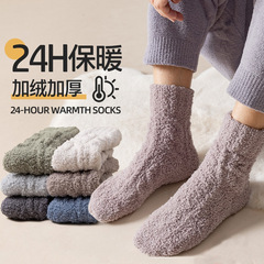 Coral velvet socks men's non-shedding sleep socks women's mid-calf autumn and winter plus velvet thickened warm home floor socks