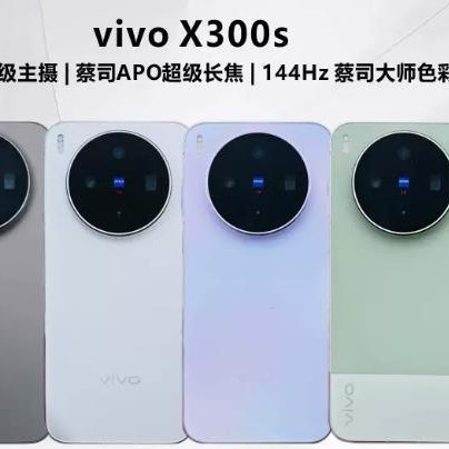 vivo X300s 蔡司2亿主摄蔡司APO蓝图影像芯片V3+ 7100mAh蓝海电池