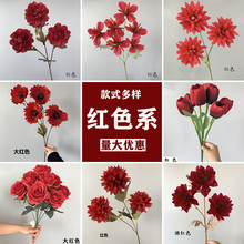��c���滨�tɫϵ ��c·���廨�bҾӔ[�� �������Q���l