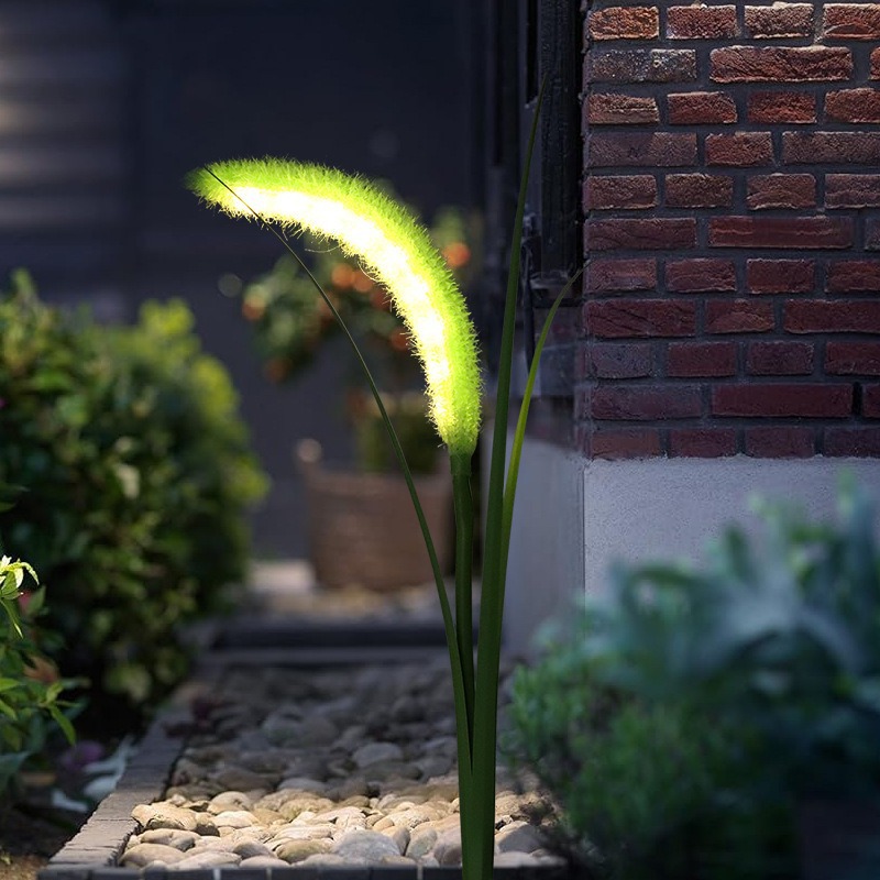 1 머리 - 개 꼬리 잔디 - 따뜻한 빛