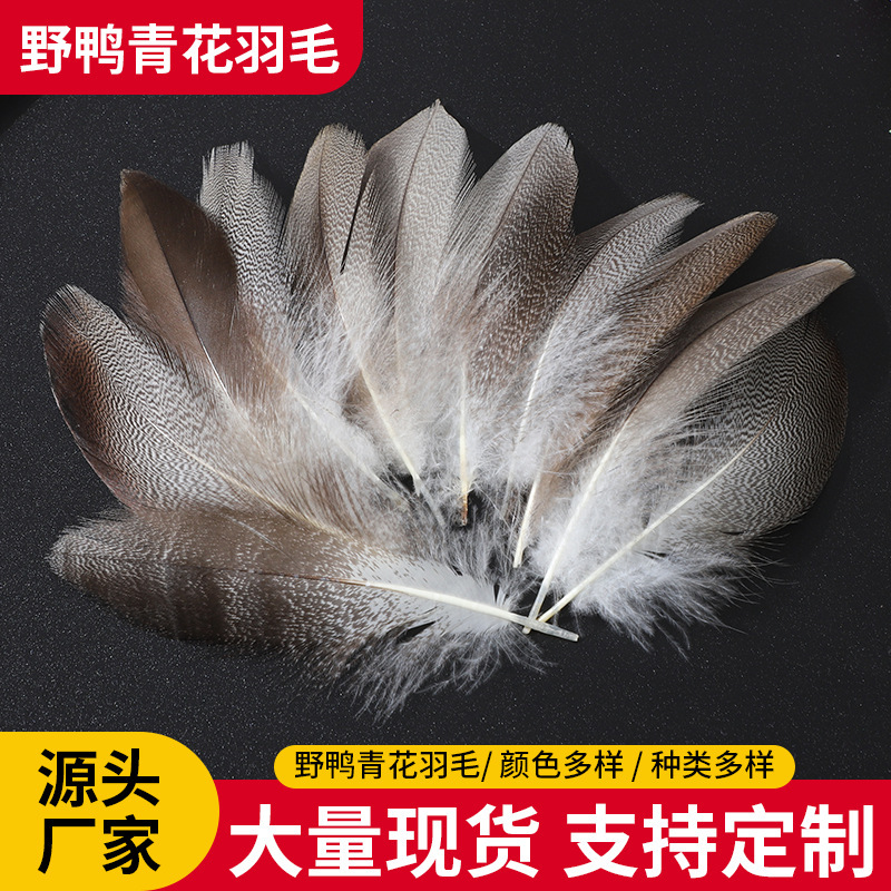 Factory direct duck feather wholesale craft feather wild duck blue and white corsage headdress fishhook feather