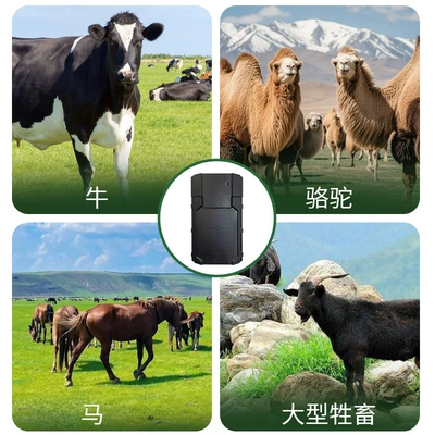 Tracker for Mountainous Areas with | GPS Locator