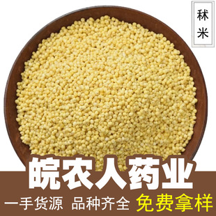 �������l�S��Ŵ��Ŵ�ڱ������SŴ�䱳��ș�Ĵ�ȫ���l���l