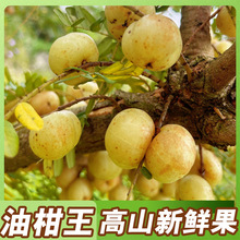 �Fժ�������r�͸ʹ�5��ţ�ʹ�������͸̵��ϙ���ЋD��ˮ�����]