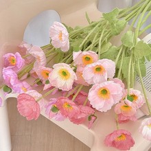 羳˷滨߼б潁ڻҾbcٻl