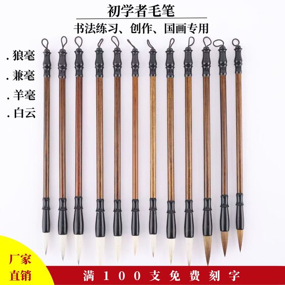 Students Beginner's Brush suit Calligraphy Practice Beginner's Brush