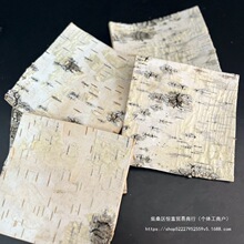 桦树皮 风干 装饰背景 杂货手工材料 拍摄道具 家居装饰 软装