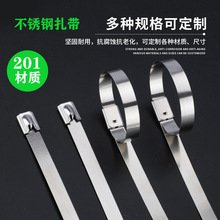 201不锈钢扎带自锁式4.6*200船用耐低高温金属捆绑束线带耐温