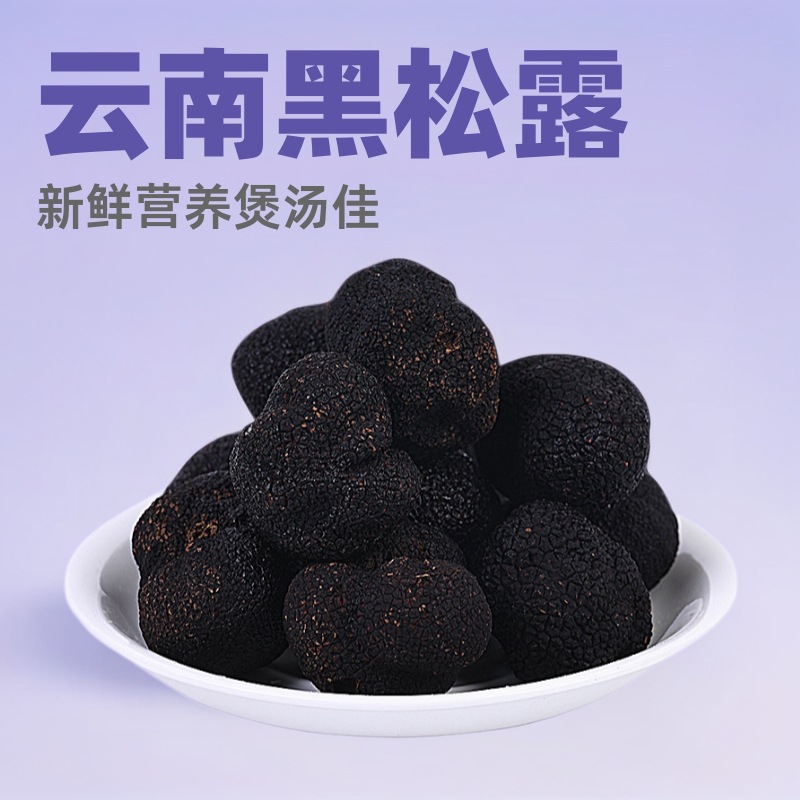 2026新鲜黑松露1000g云南食用菌猪拱菌营养原产成熟块菌煲汤