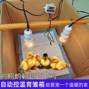 � ������������r���Ԅӿ؜؟��a��С�B�u���Z�g���J���u�Bֳ�O��