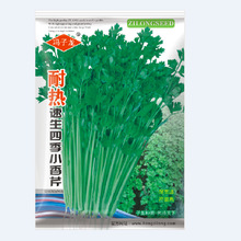 �T�����߲˷N���͟������ļ�С���۲˷N�ӻ�����@¶���̨����