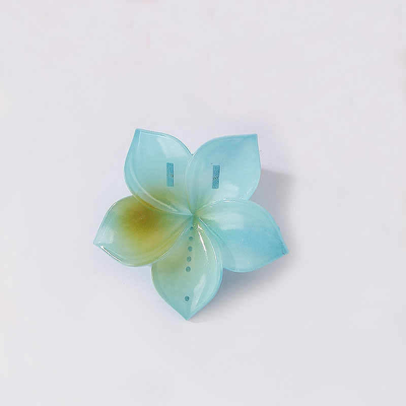 跨境热销鸡蛋花花朵发夹海边度假鲨鱼夹紫荆花盘发夹子时尚头饰女|undefined
