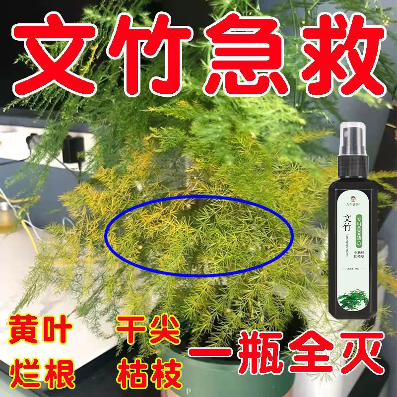 商品图