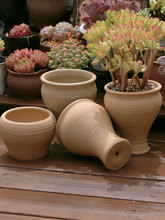 ����ֲ�ﻨ���ڏ�����ֹ�����͸��͸ˮ���ڸ���ˮ�Ϙ��������l