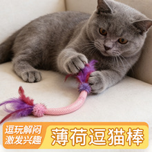 猫咪自嗨神器小老鼠彩色羽毛尾巴逗猫玩具耐咬解闷宠物用品批发